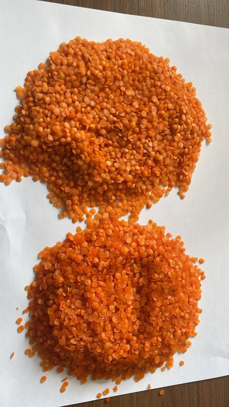 Red Split Lentils